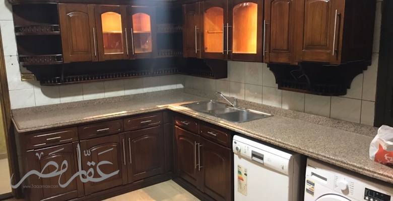 جامعه الدول العربيه