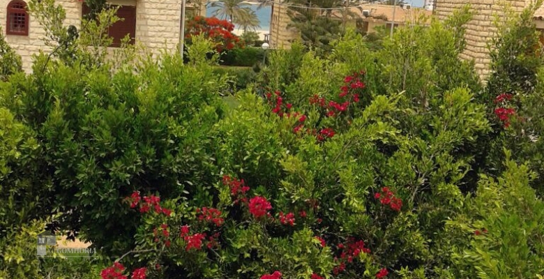 فيلا للايجار