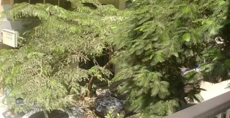 Unfurnished Apartment for rent 350.00 M2 in Giza, Mohandeseen