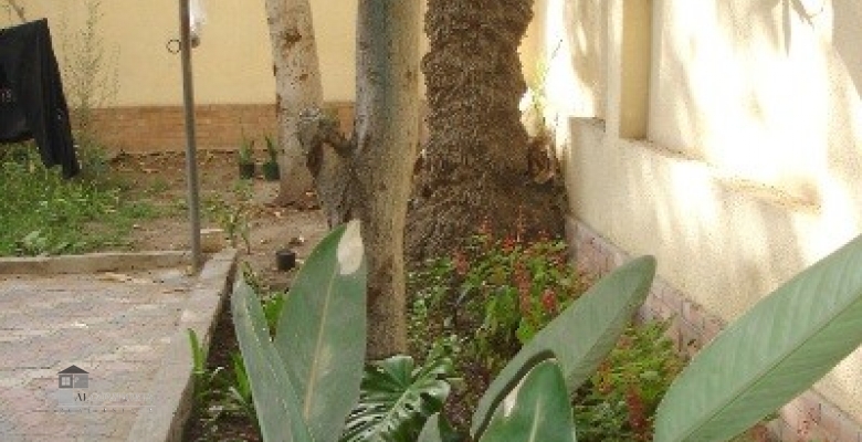 Furnished Villa for rent 450.00 M2 in Cairo, Maadi