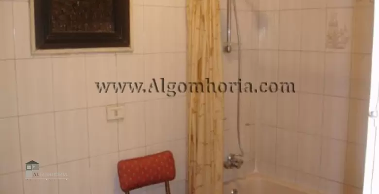 Furnished Apartment for rent 0.00 M2 in Giza, Mohandeseen