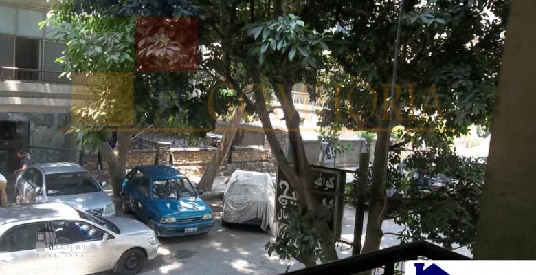 Furnished Apartment for rent 0.00 M2 in Giza, Mohandeseen