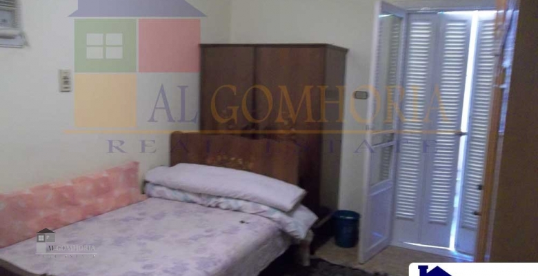 Furnished Apartment for rent 0.00 M2 in Giza, Mohandeseen