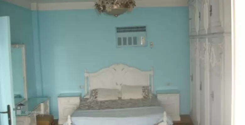 Furnished Apartment for rent 0.00 M2 in Cairo, Zamalek