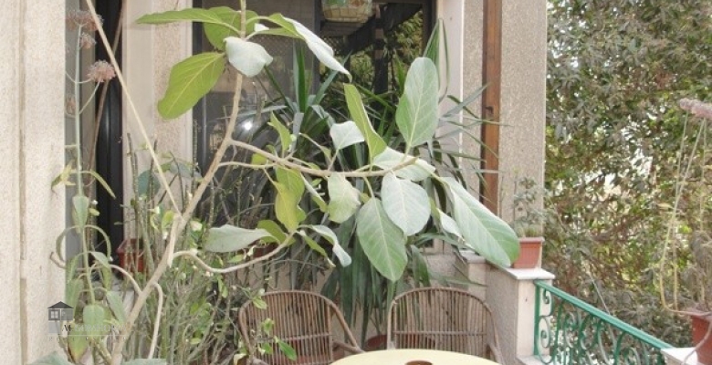 Apartment 0.00 for sale M2 in Giza, Dokki