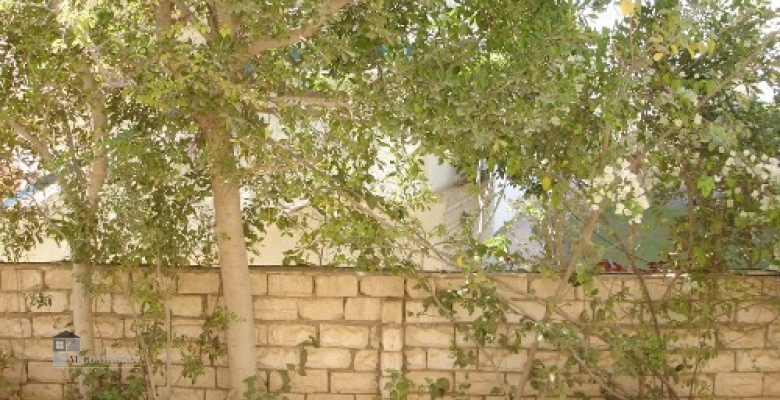 شاليه