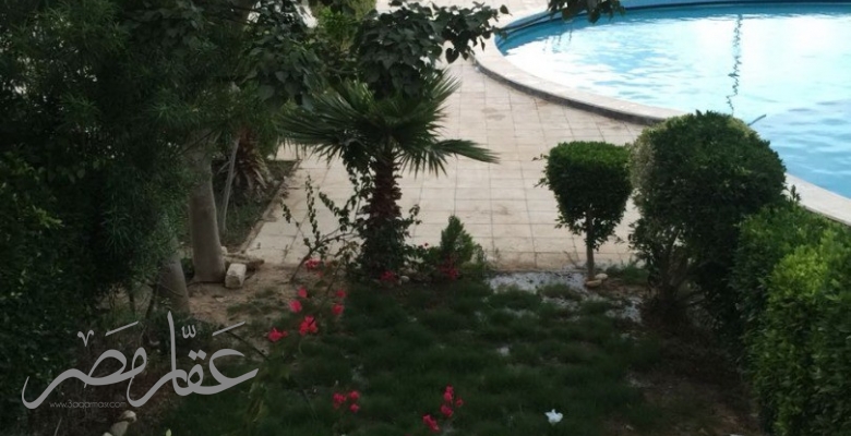 شاليه للبيع او للايجار فى مارينا 1