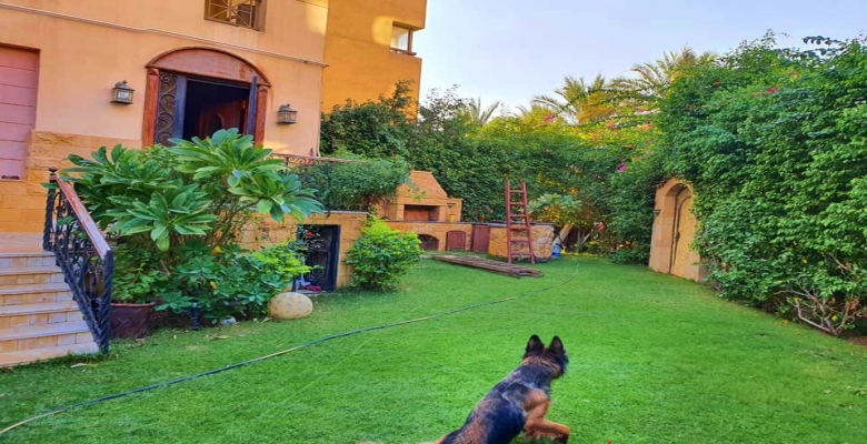 شقه + حديقه حي الاشجار اكتوبر  المساحه : 172م حديقه : 300 م