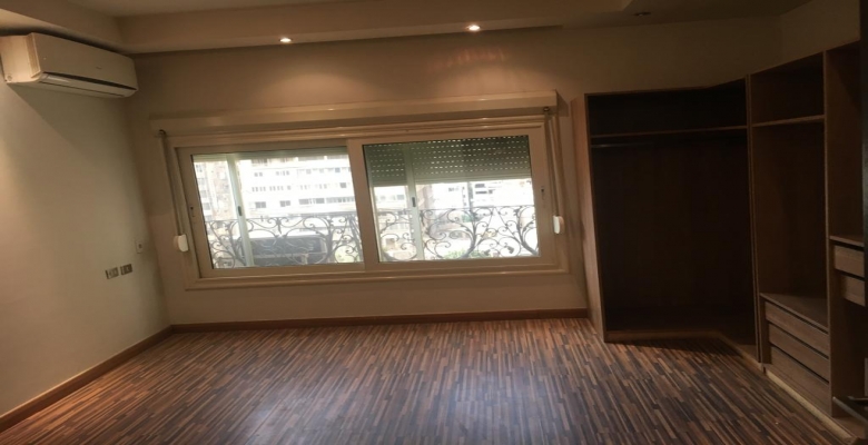 شقة اكسترا سوبر لوكس بالجيزة ترى النيل