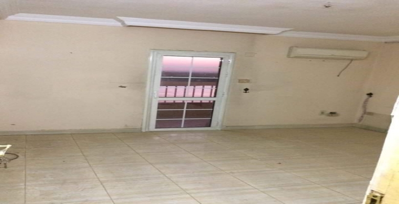 شقه تطل علي النيل مباشره 