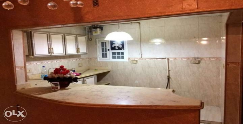 شقه تطل علي النيل مباشره 