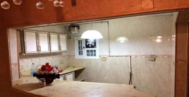 شقه تطل علي النيل مباشره 