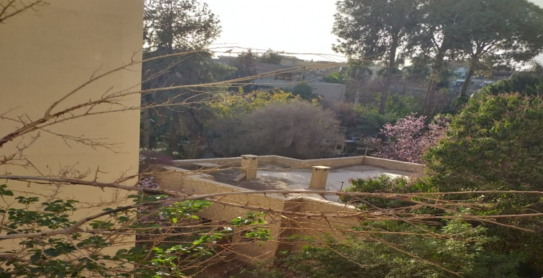 شقه بارقي الاحياء بالمعادى 