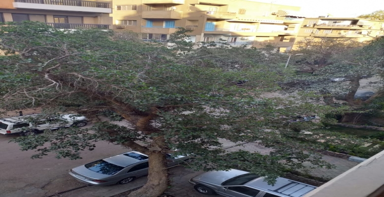 شقه بارقي الاحياء بالمعادى 