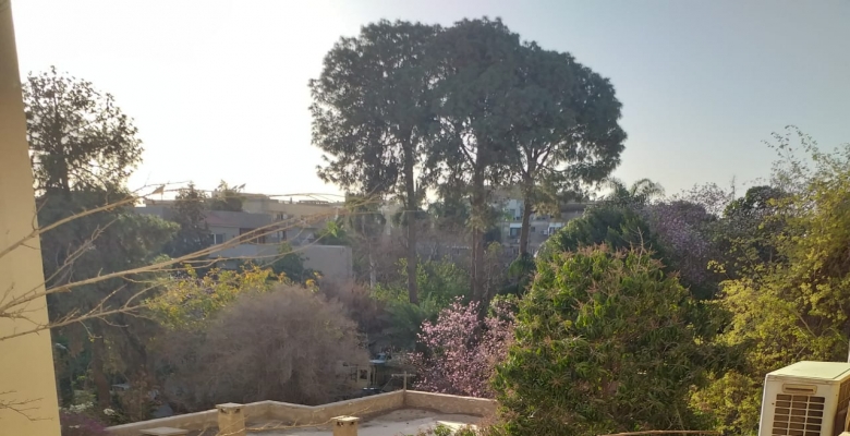 شقه بارقي الاحياء بالمعادى 