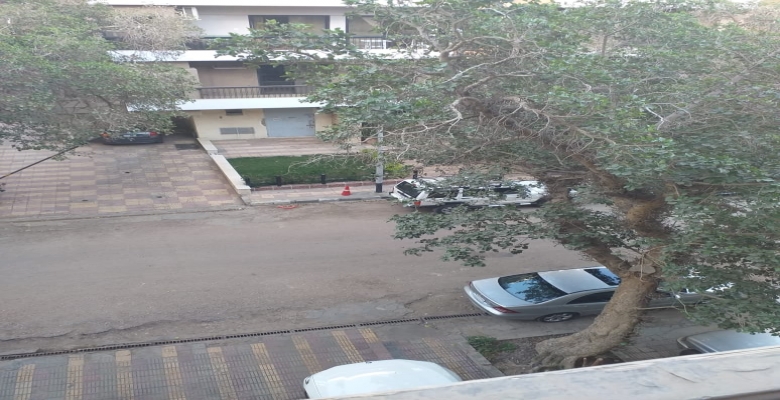 شقه بارقي الاحياء بالمعادى 