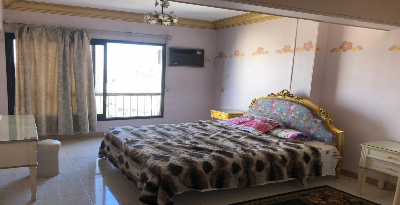 شقة مفروشة للبيع - الزمالك تطل علي لنيل