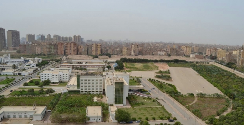 شقة للبيع أو الإيجار - المعادي