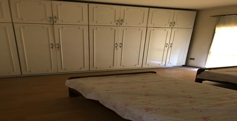 الجزيرة الوسطى - الزمالك