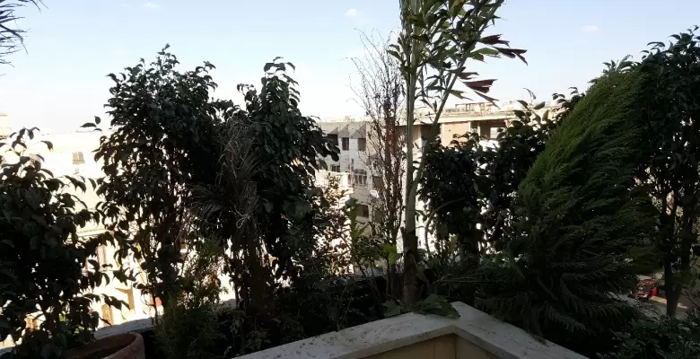 شقه مفروشه للايجار و البيع بالتجمع الخامس