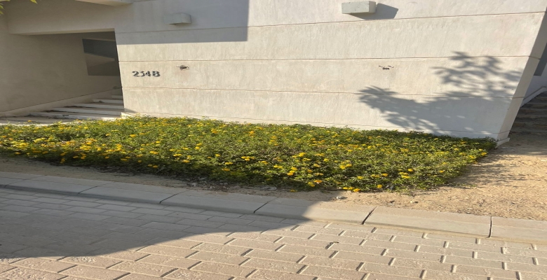 شاليه للايجار بجنيور