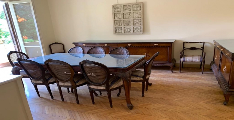 شقة مفروشه  للايجار فى الدقى