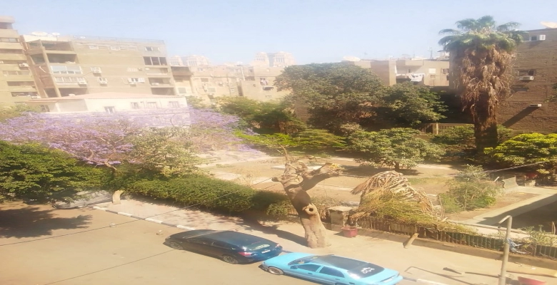 شقة للبيع في الجزيرة الوسطي - الزمالك / An apartment for sale in Al-Jazeera Al-Wustaa - Zamalek