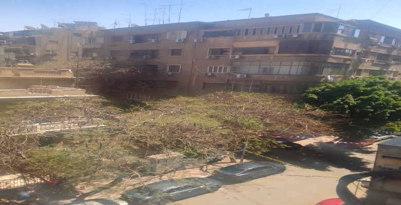 شقة للبيع في الجزيرة الوسطي - الزمالك / An apartment for sale in Al-Jazeera Al-Wustaa - Zamalek