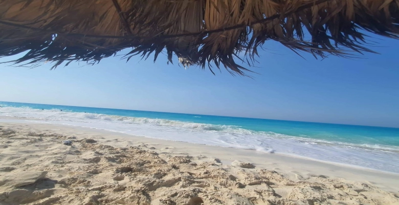 شاليه للايجار بقرية اللوتس - الساحل الشمالي / A chalet for rent in Lotus Village - North Coast