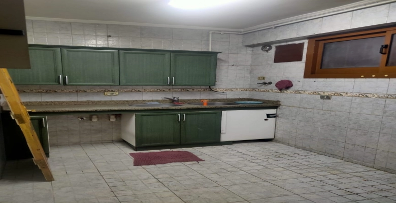 دوبلكس للايجار بشارع أمين الرافعي - الدقي / Duplex for rent on Amin El-Rafei Street in Dokki