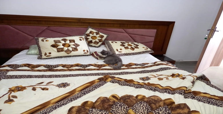 شالية للإيجار في قرية امواج الساحل الشمالي