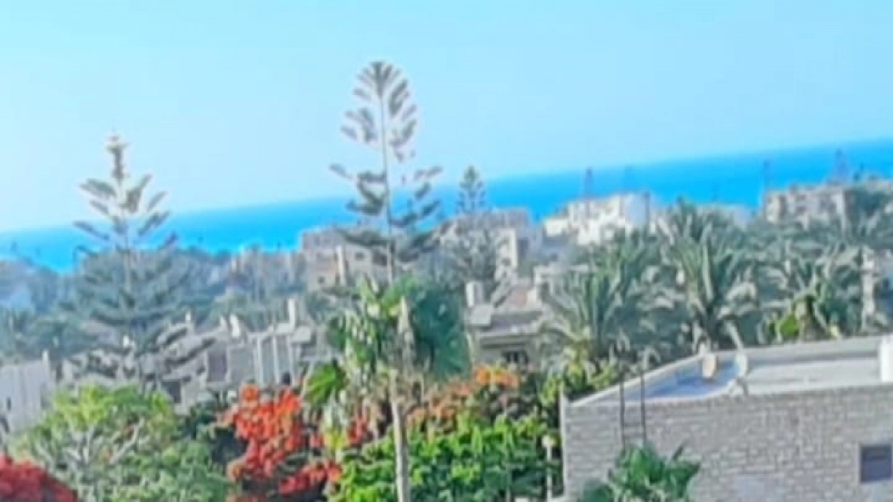 شالية للايجار فى مارينا 1 /algomhoria