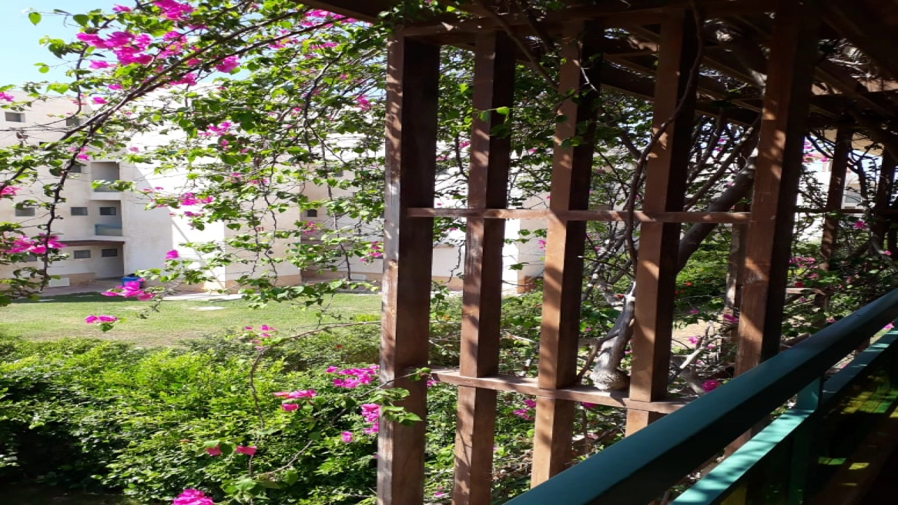 شاليه للايجار في مينا 4 الساحل الشمالي 3 غرف