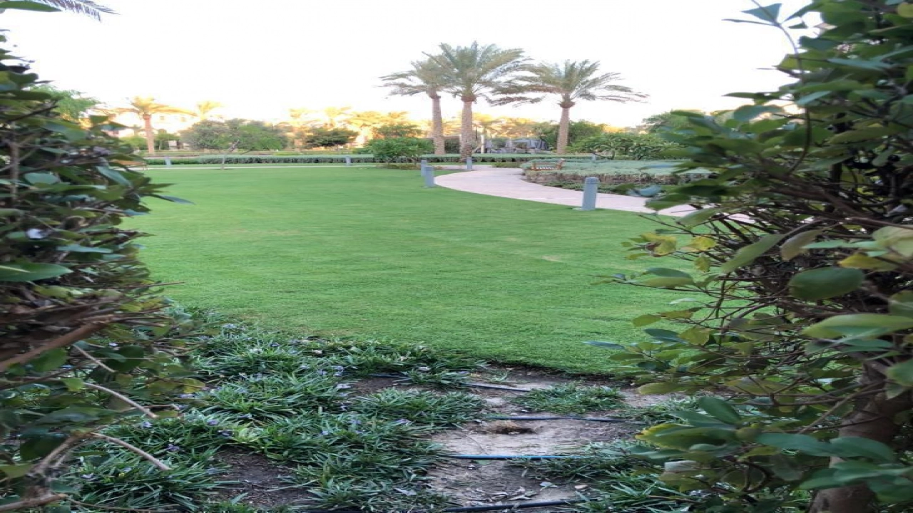 شاليه ارضي بجاردن 4 غرف للايجار في مراسي كتانيا