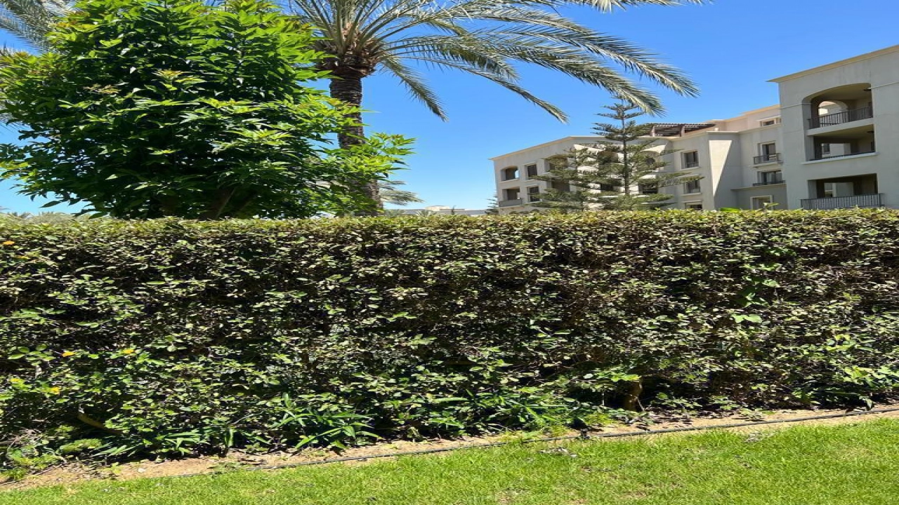 شاليه ارضي بجاردن 4 غرف للايجار في مراسي كتانيا