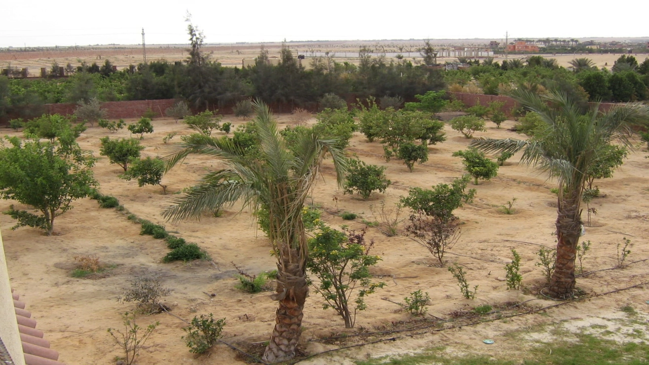 فيلا للبيع فى الريف الاوربي متميزه جدااااااااا