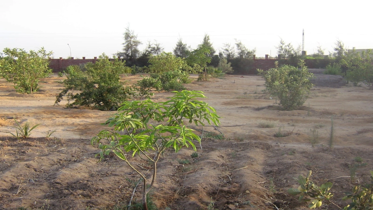 فيلا للبيع فى الريف الاوربي متميزه جدااااااااا